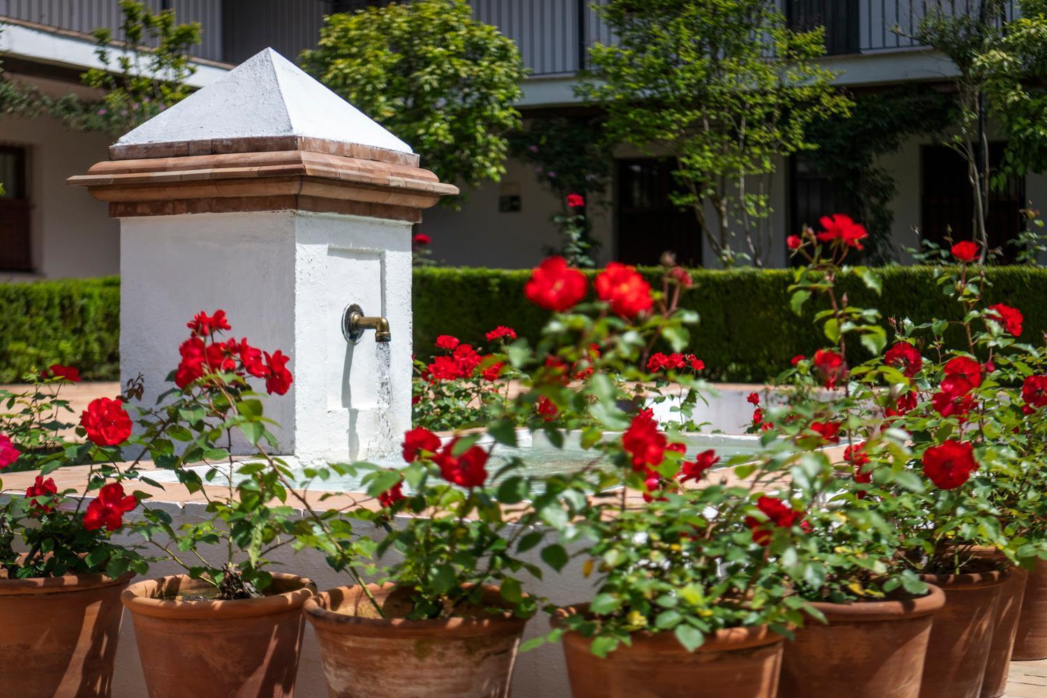 Magno Apartments San Laureano - Private Parking Included Sevilla Exterior foto